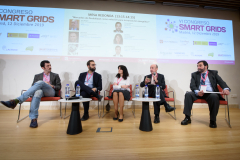 017-30-Pedro-Basagoiti-OMIE-Mesa-Redonda-6-Congreso-Smart-Grids-2019