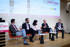 017-60-Francisco-Espinosa-ACE-Mesa-Redonda-6-Congreso-Smart-Grids-2019