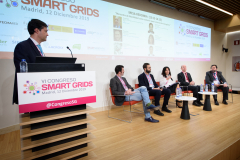 017-70-Lucia-Dolera-APPA-Renovabl-Mesa-Redonda-6-Congreso-Smart-Grids-2019