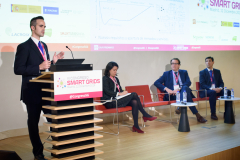 021-31-Javier-Roldan-Imdea-Ponencia-6-Congreso-Smart-Grids